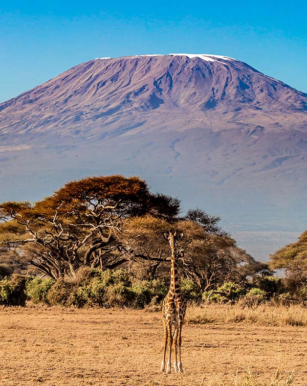 Tansania Infos Fakten, Geschichte, Visa, Währung & Klima