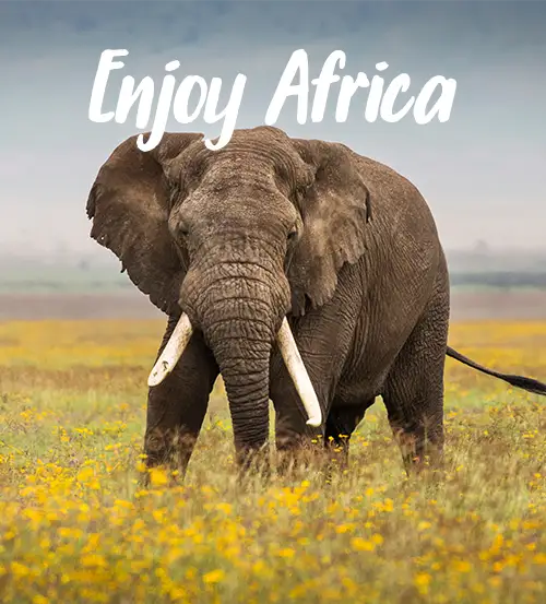Private-geführte-Safaris-in-Tansania-Über-Discover-Tanzania