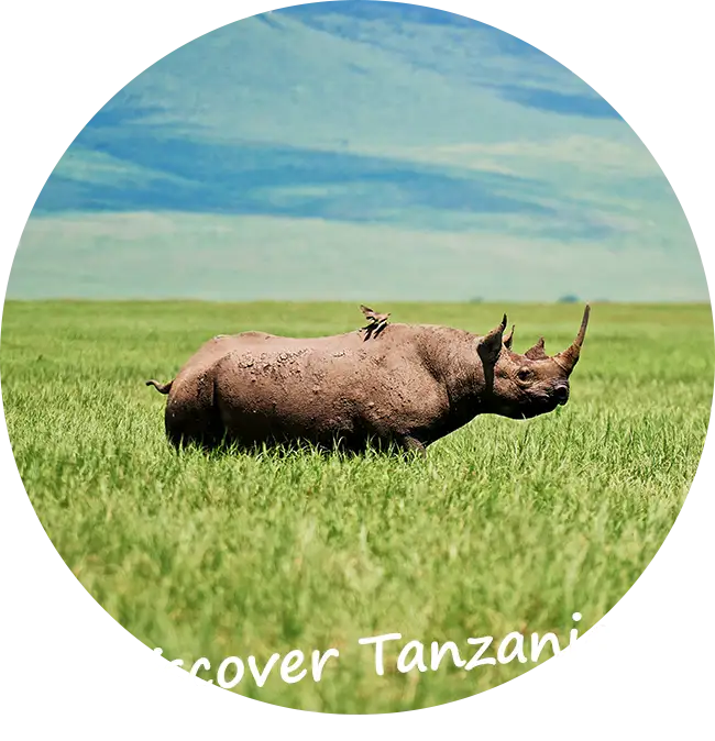 maßgeschneiderte private geführte Safaris in Tansania